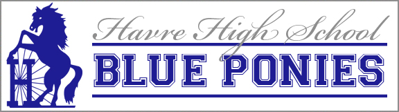 Blue Pony Emblem Blue Pony Emblem